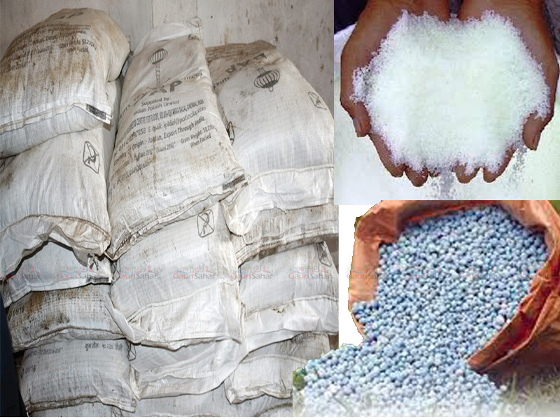 कालोसूचीमा परेका कम्पनीले ल्याए मल