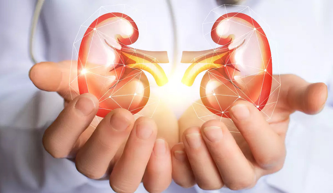 आज विश्व मिर्गौला दिवस विभिन्न कार्यक्रम गरी मनाइँदै