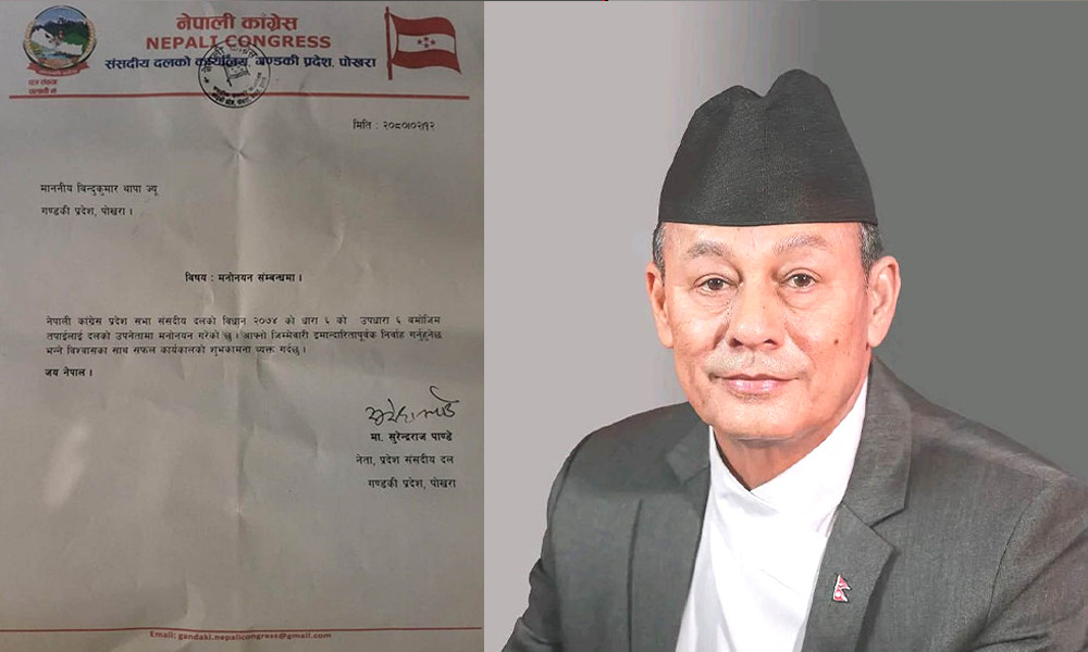 गण्डकी कांग्रेस संसदीय दलको उपनेतामा विन्दुकुमार थापा चयन