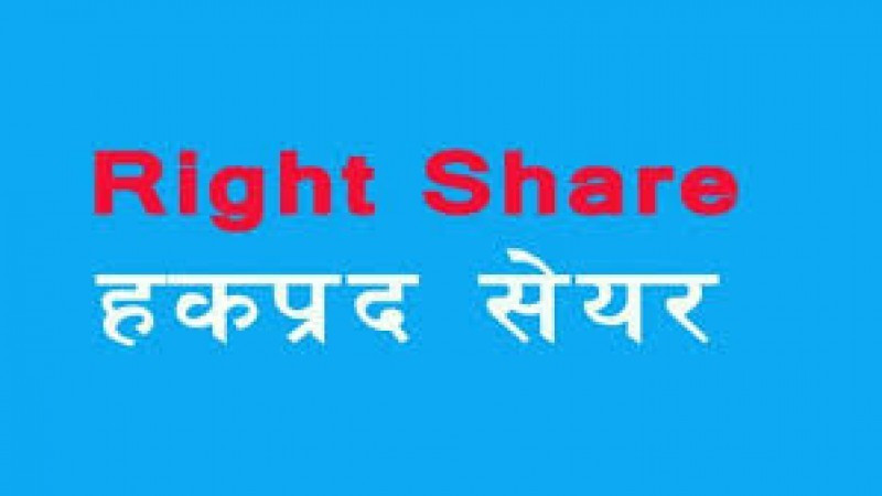 हिमाल दोलखा हाइड्रोपावर कम्पनीको हकप्रद सेयरमा असार २५ गतेसम्म आवेदन दिन सकिने
