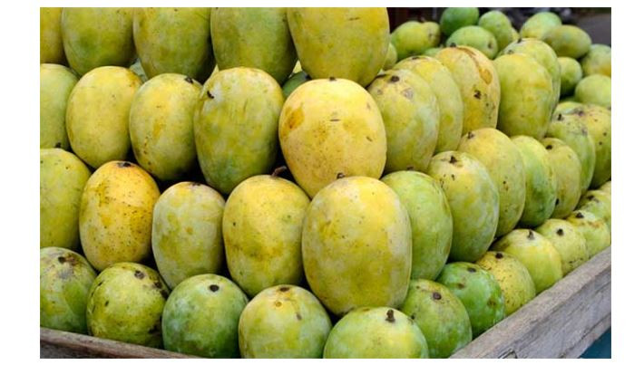 फलफूल तथा तरकारीको आजको मूल्य सूची, मालदह आँपकाे भाउ बढयाे