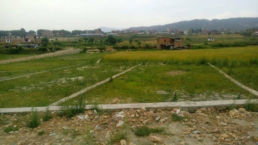 लाइसेन्स नलिई घरजग्गा कारोबार गरे २५ लाख जरिमाना र ६ महिना कैद