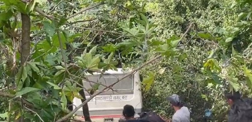 साँगामा  बस दुर्घटना हुँदा ६ जना  घाइते