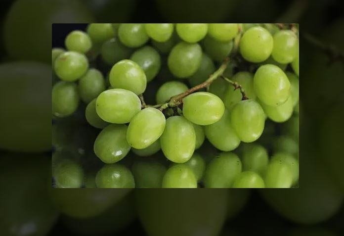 आजको फलफूल तथा तरकारीको मूल्य, अंगुर ४५० रूपैयाँ