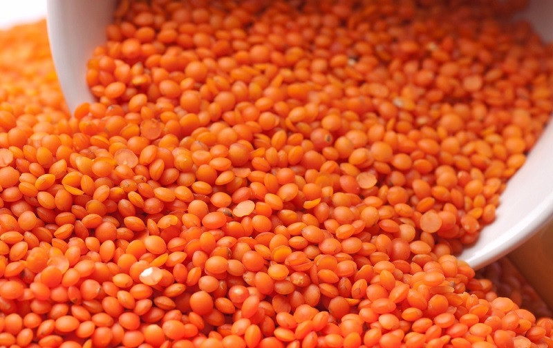 ४२ करोडको मुसुराको दाल निर्यात