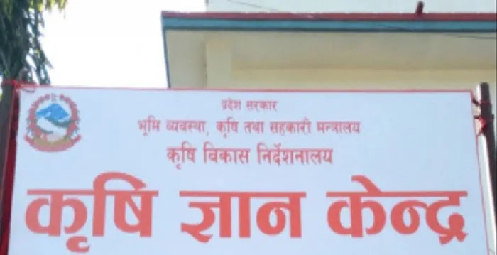 लमजुङमा ‘कृषि तीज गीत प्रतियोगिता’ , मार्गदर्शन सहकारी प्रथम