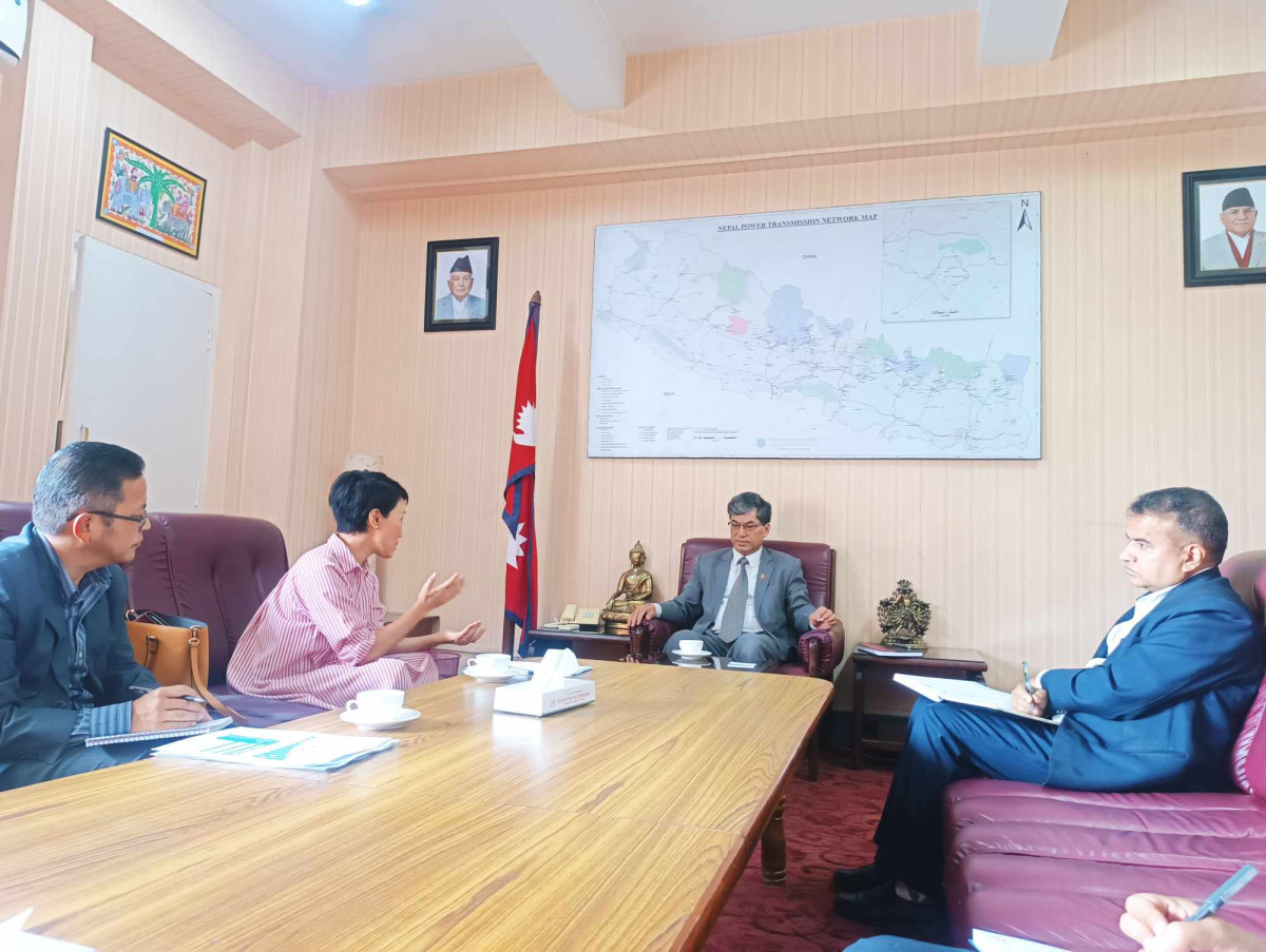 आयोग उपाध्यक्ष श्रेष्ठ र यूएनडिपी नेपाल प्रतिनिधिबीच भेटवार्ता