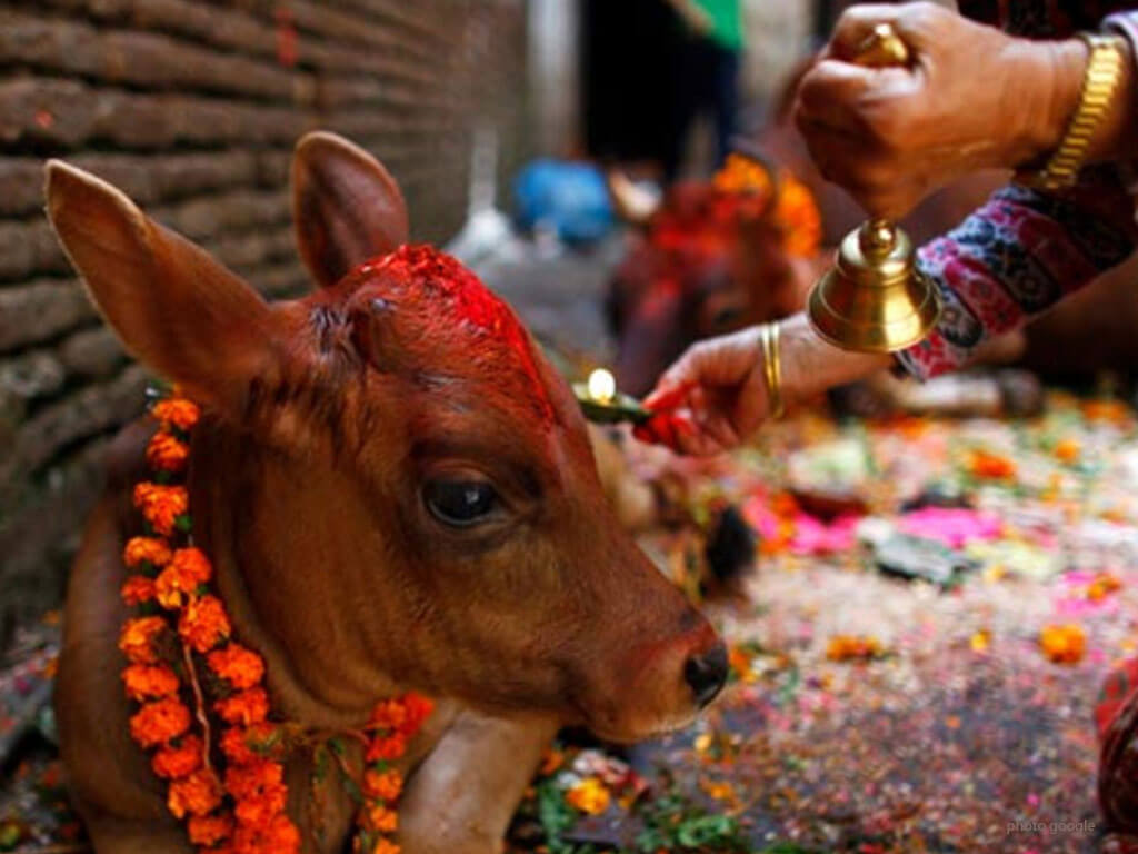 यमपञ्चक(तिहारको चौँथो दिन) : आज गोवद्र्धन पूजा