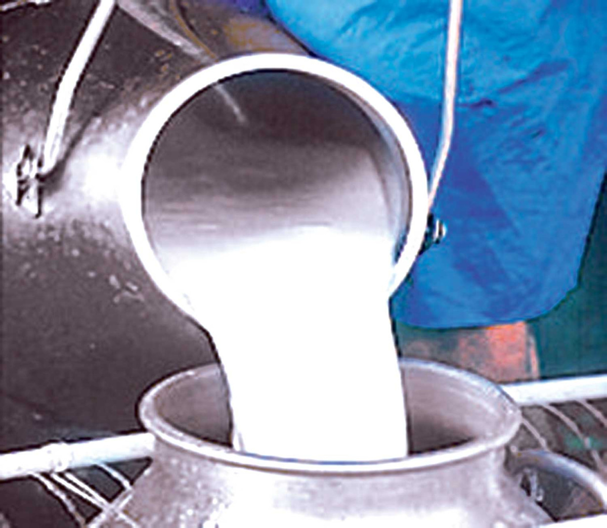 किसानले पाएनन् दूधको २२ करोड भुक्तानी