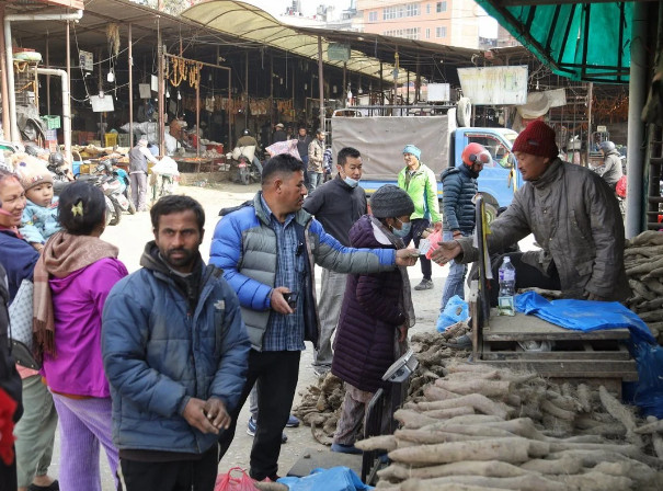 माघे सङ्क्रान्ति नजिकिएसँगै तरुलको व्यापार सुरु