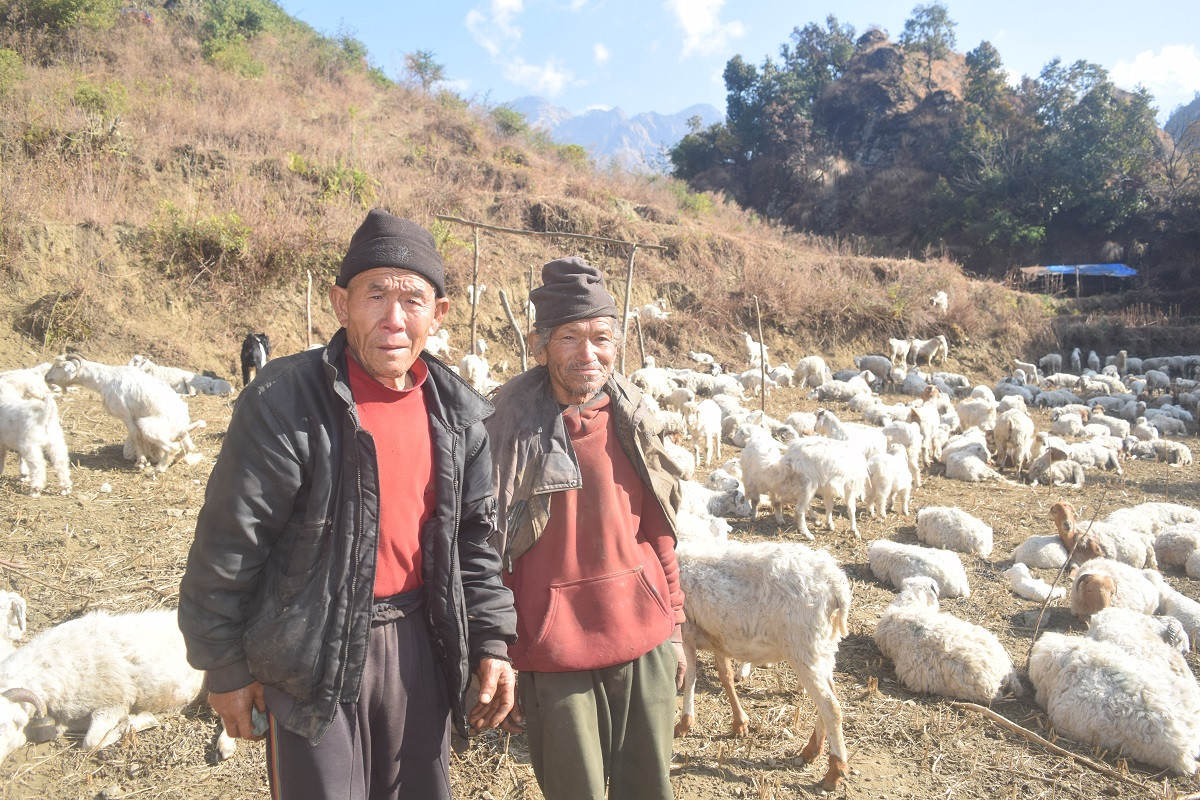 ७० को उमेरमा जंगलको बास, गोठमै जोडियो मितेरी साइनो