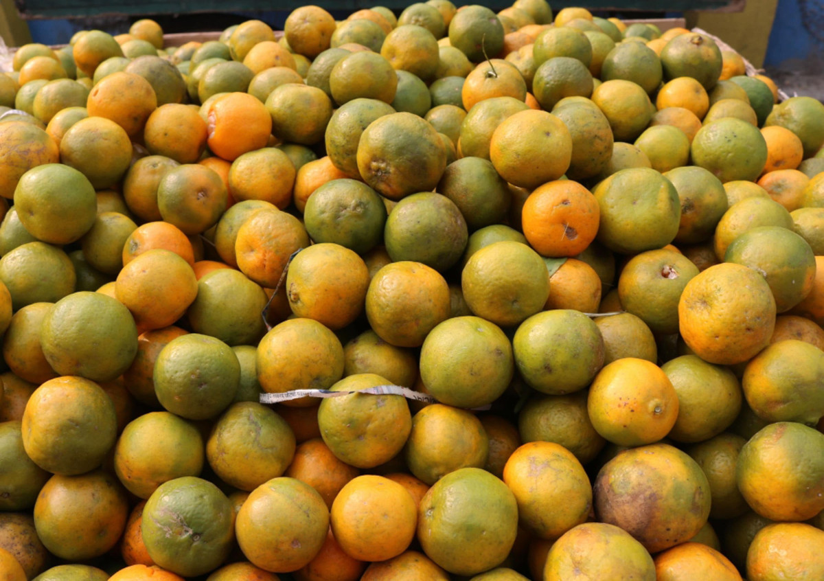 सुन्तला ढुवानी गर्न कठिनाइ