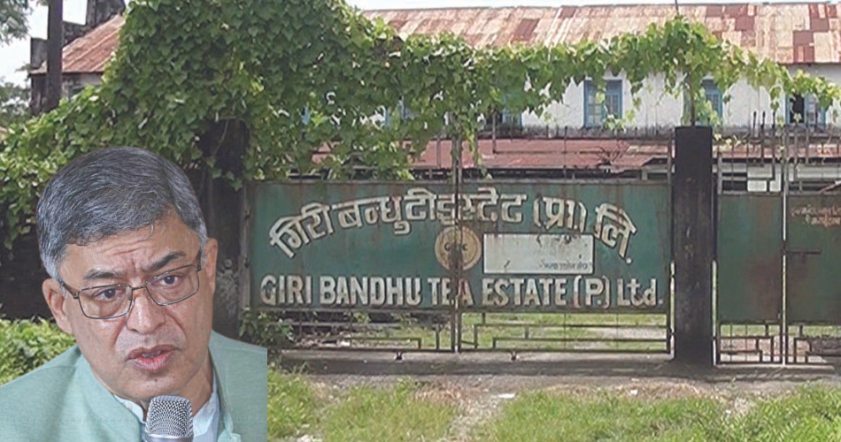 गिरीबन्धु टी इस्टेट प्रकरण : बैनास्वरूप करोडौं दिएकाहरूले मुख्य गिरोहको भण्डाफोर गर्ने