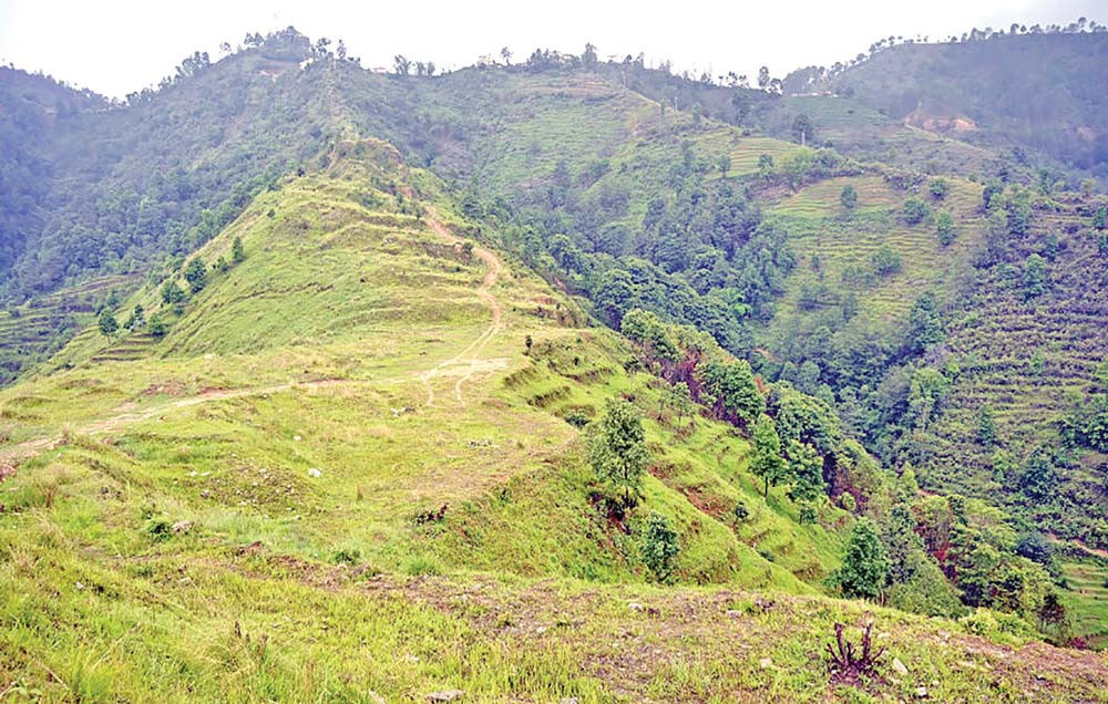 हदबन्दीको जग्गामा पतञ्जलीको रजाइँ