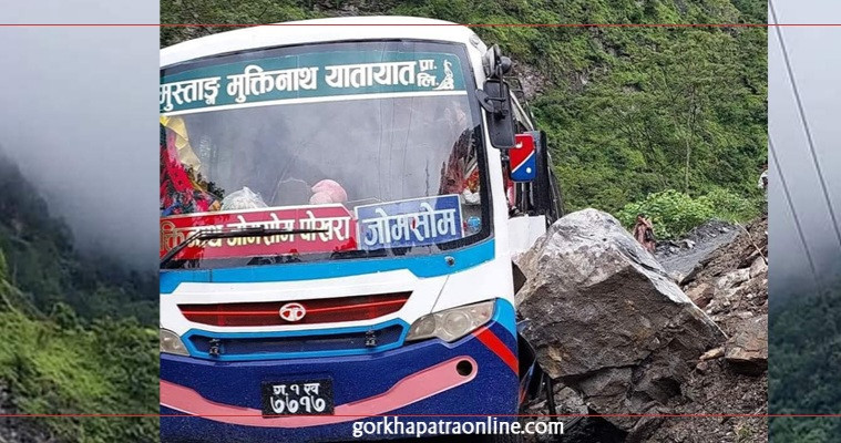 सडकमै जान्छ ज्यान