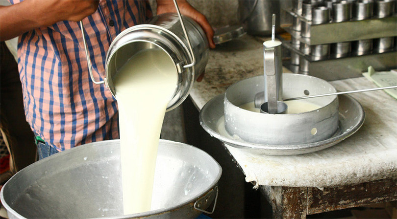 सरकारसँग ऋण लिँदा पनि नियमित भएन दूधको भुक्तानी
