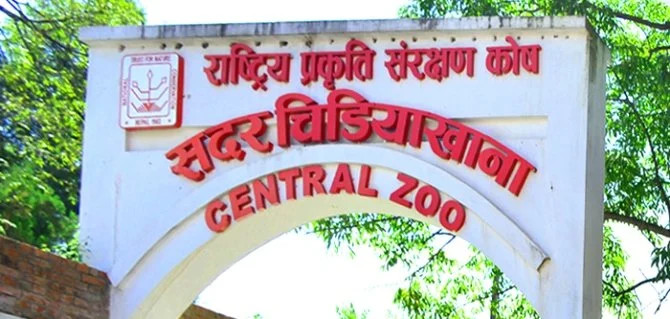 चिडियाखानाको प्रवेश शुल्क भुक्तानी अब डिजिटल माध्यमबाट