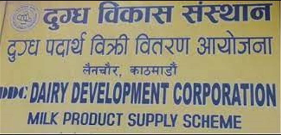 दुग्ध विकास संस्थानले तिर्‍यो ३१ वर्षको सम्पत्ति कर