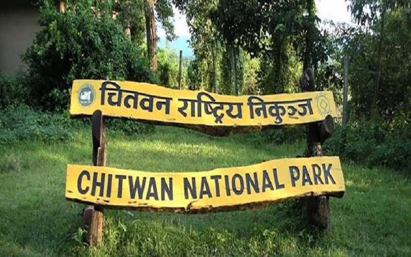 चितवन राष्ट्रिय निकुञ्जबाट हिउँचितुवाको छाला र हड्डीसहित दुई जना पक्राउ