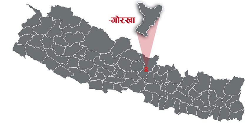 गोरखामा खेर गइरहेको बाँझो जमिनमा व्यवसायिक ओखरखेती