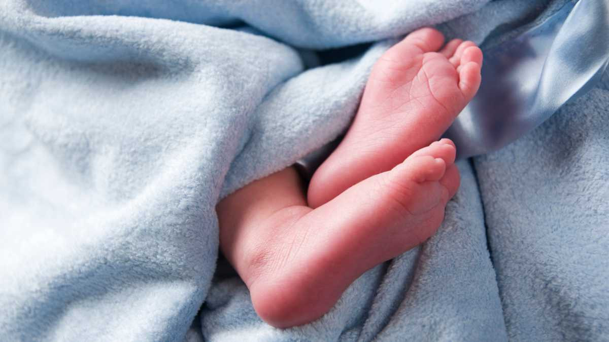 ढुङ्गाले लागेर गुल्मीमा विद्यालय जाँदै गरेकी ८ वर्षीया बालिकाकाे ज्यान गयाे