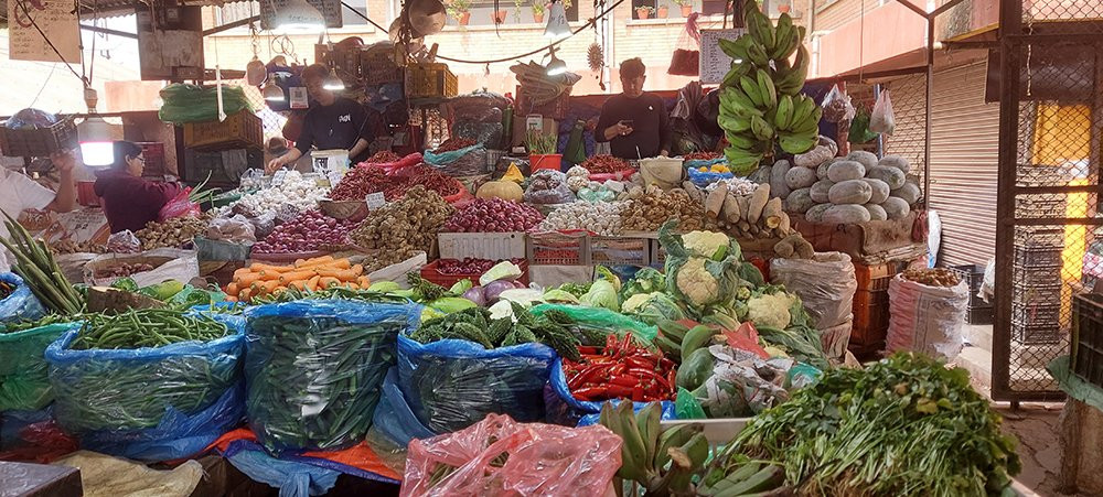 तरकारीमा विषादी बढ्यो : परीक्षण सामग्री र जनशक्ति अभाव