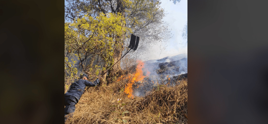 चन्द्रागिरीको सामुदायिक बनमा भीषण डढेलो