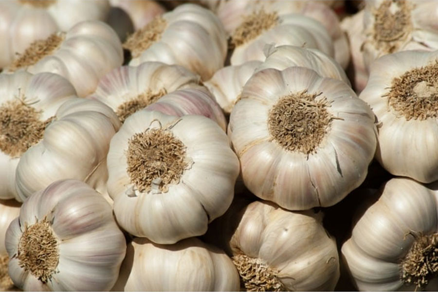 नेपाली र चिनियाँ लसुनको भाउ बढ्यो, किलोको कति ?