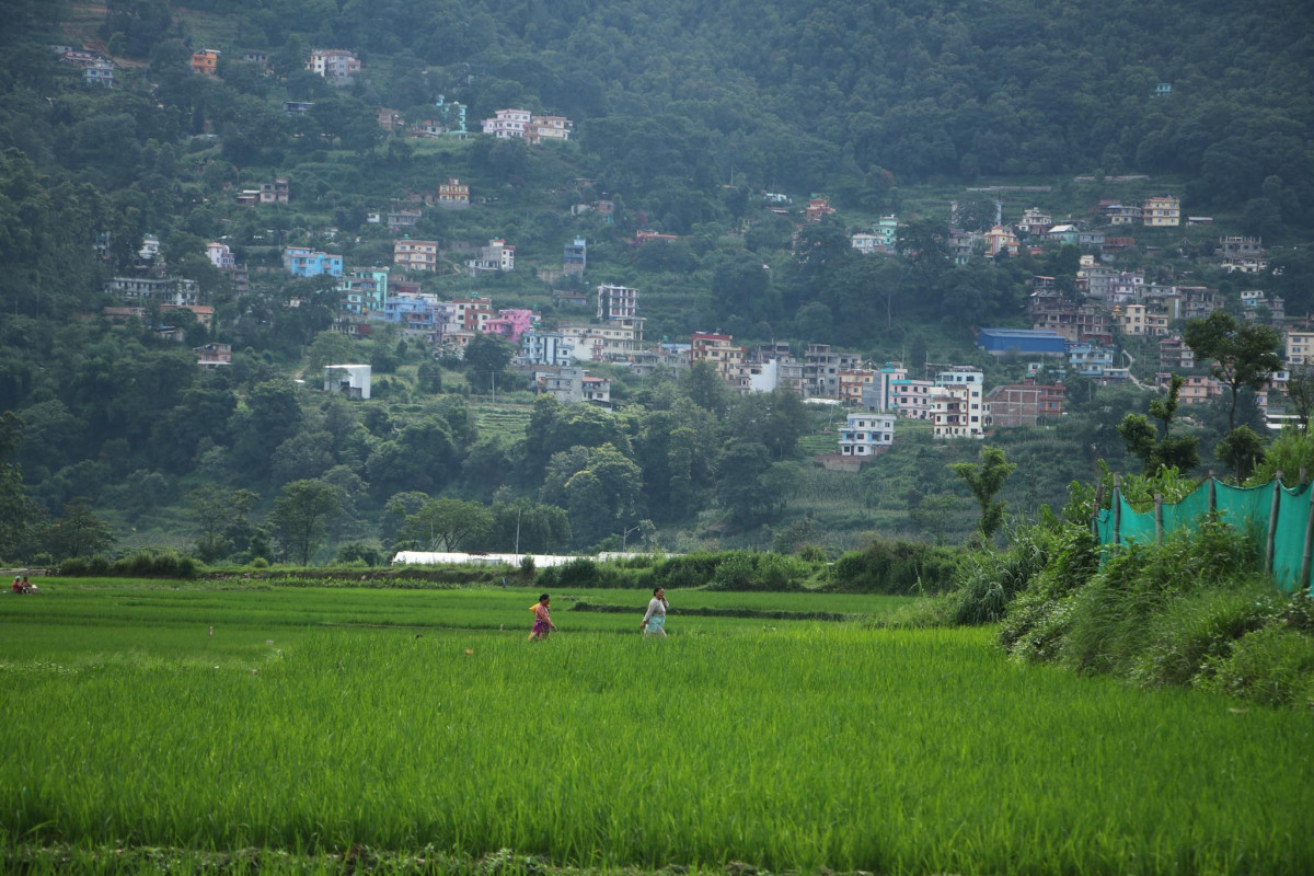 नेपालको आर्थिक वृद्धिदर ४.५ प्रतिशत रहने विश्व बैंकको अनुमान