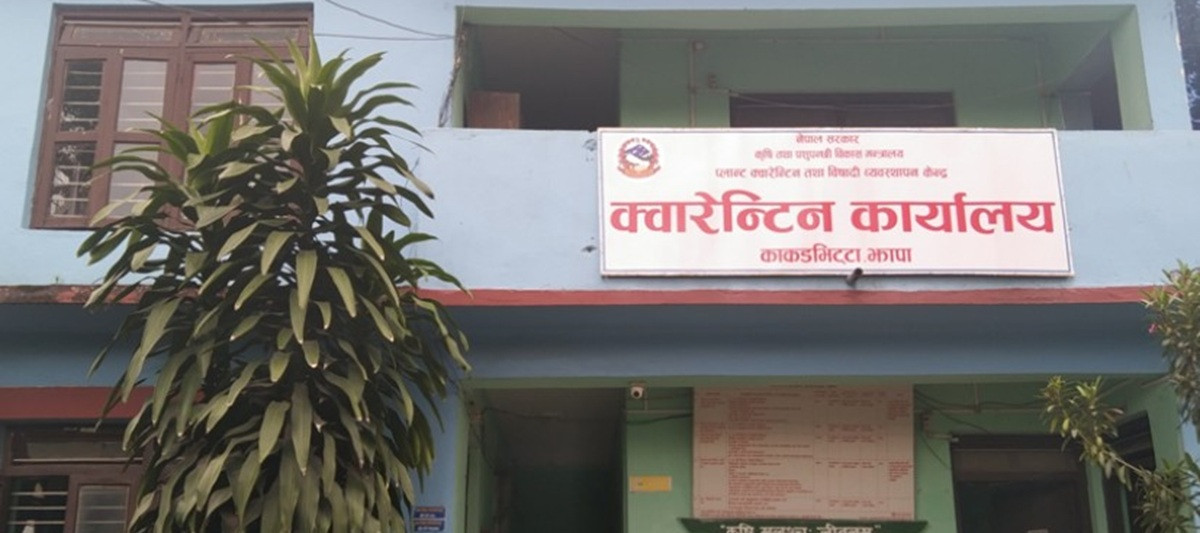 काँकडभिट्टाबाट पौने १८ अर्बको कृषिजन्य वस्तु निर्यात