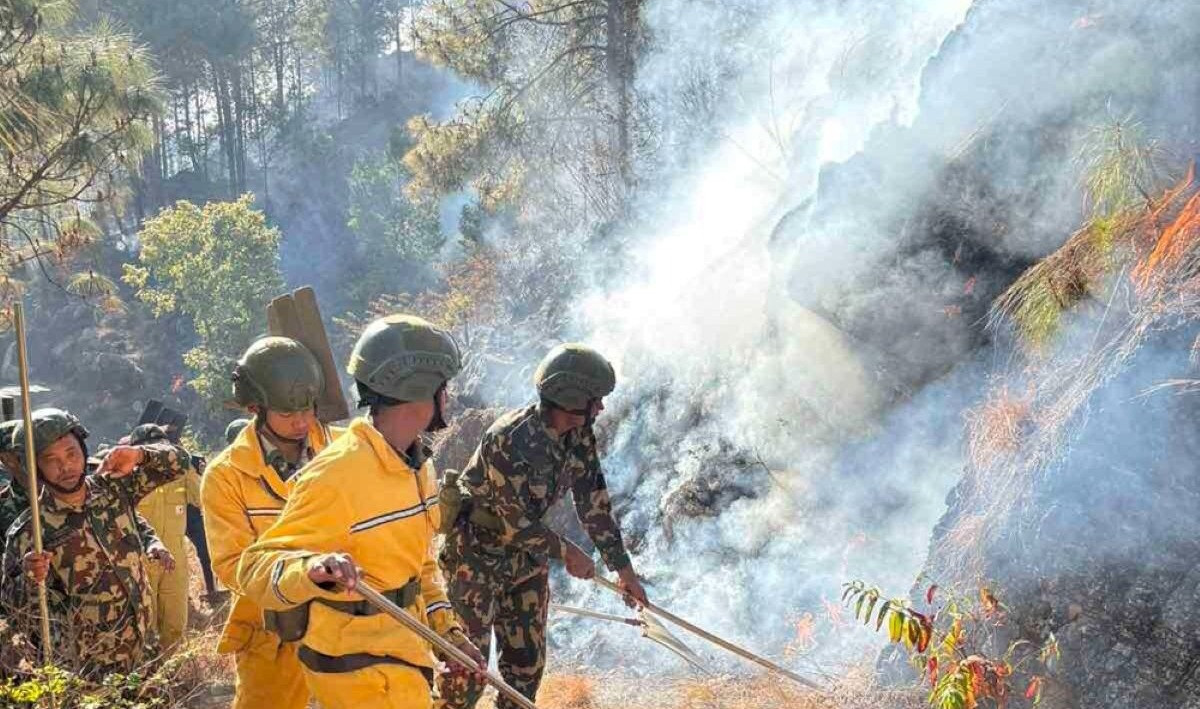पाल्पामा डढेलोले जङ्गल सखाप हुँदै