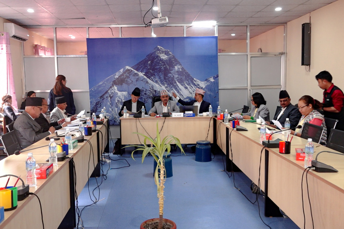 नीति तथा कार्यक्रममा समावेश गर्नुपर्ने विषयमा संसदीय समितिको सुझाव