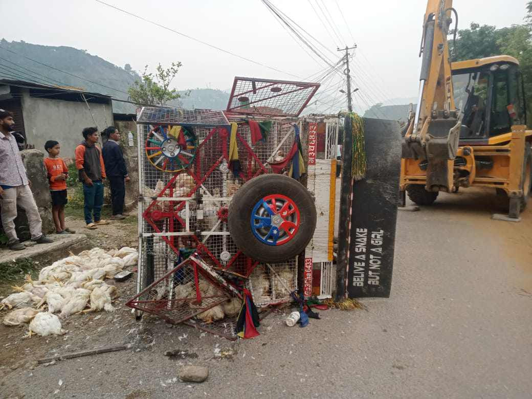 दुर्घटनामा तीन सय कुखुरा मरे