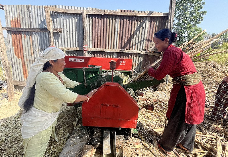 गुल्मीमा उखुजन्य पदार्थ बिक्री गरेर वार्षिक एक करोडको कारोबार गर्दै युवा