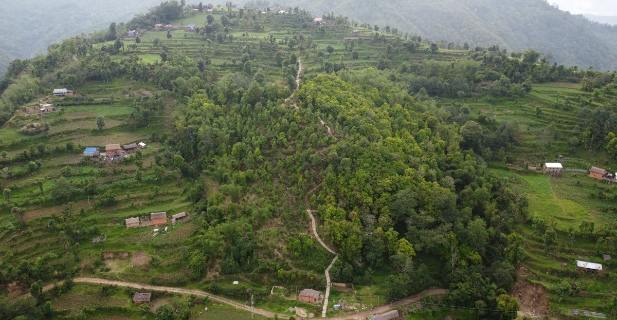 भोजपुरको वाक्चाखामा ‘जाल्पादेवी गुराँस पदमार्ग’ निर्माण