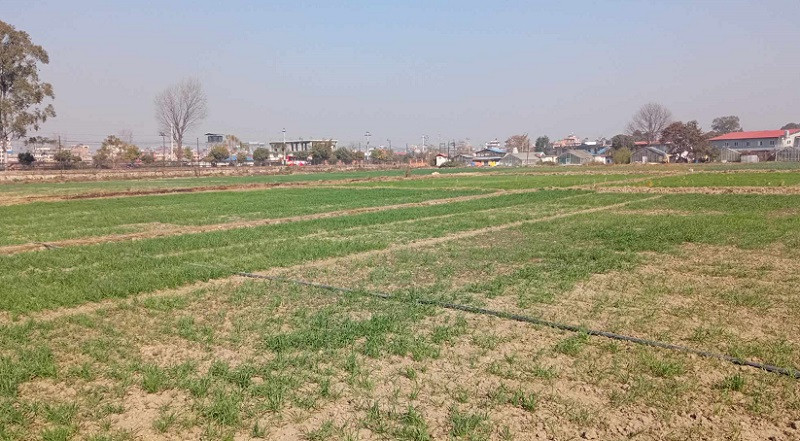 घरजग्गा किनबेच गर्दा बैंक 'स्टेटमेन्ट' बुझाउनुपर्ने नियम खारेज