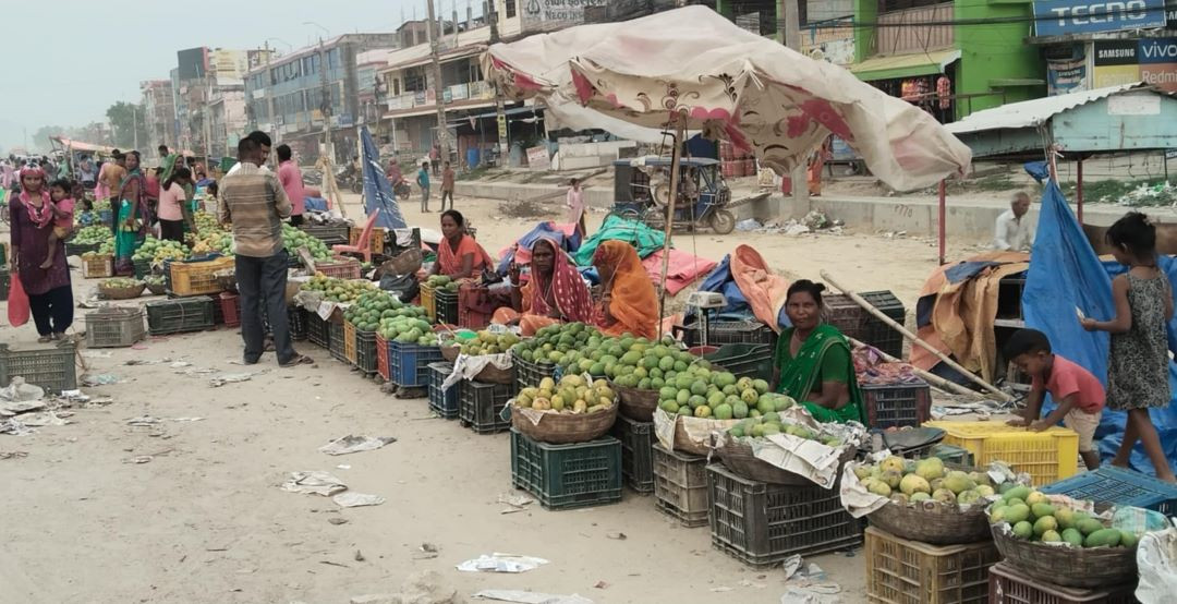 ‘लहानको आँप ब्राण्डिङ गरिएन’