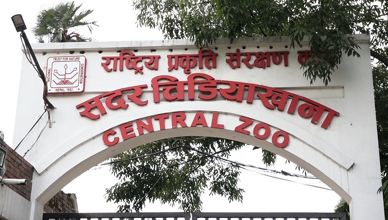 चिडियाखानामा सन्ध्याकालीन सेवा शुरू भएपछि पर्यटकको सङ्ख्या बढ्यो
