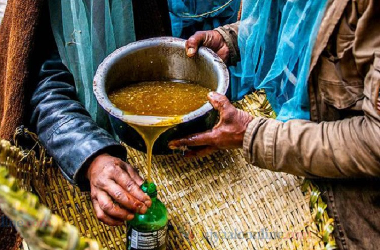 चितवनमा उत्पादित मह गुणस्तरयुक्त