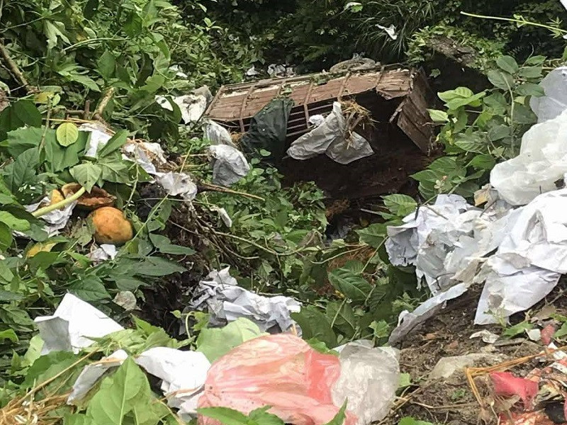 चितवनको सिमलतालबाट त्रिशूली नदी किनारमा ट्रक खस्यो