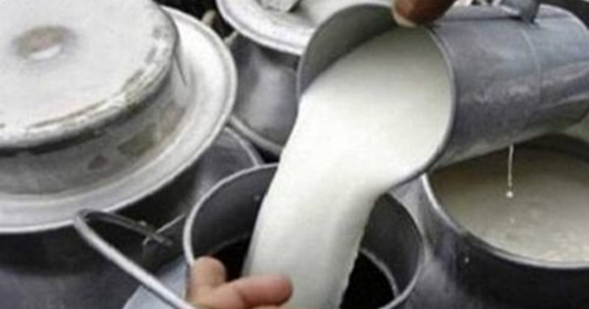 कास्कीका दुग्ध उत्पादक किसानलाई अनुदान