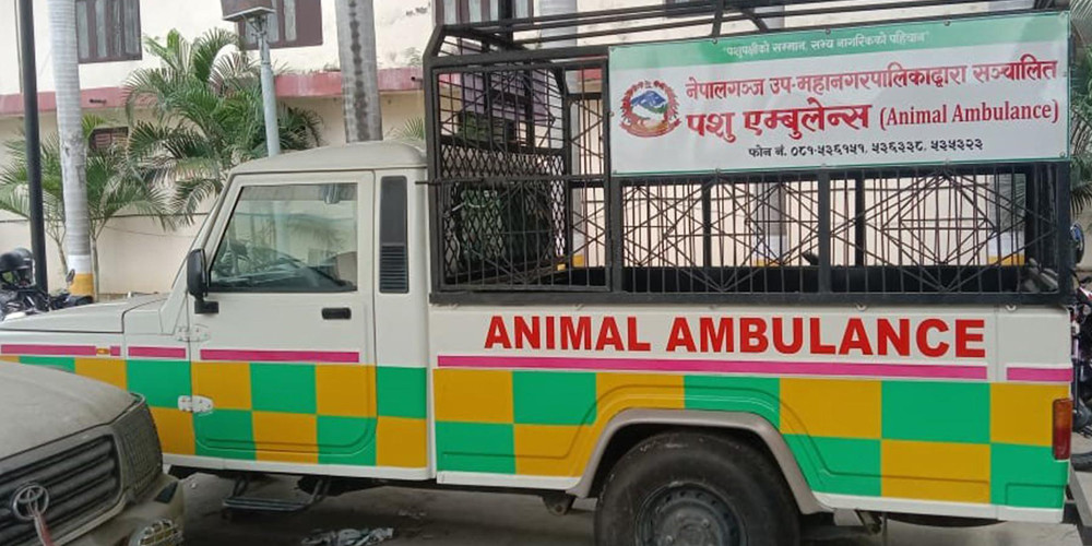 नेपालगञ्जमा ‘एनिमल एम्बुलेन्स’ सञ्चालन