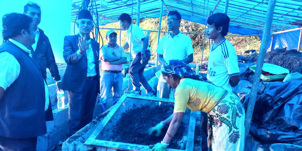 पातपतिङ्गरबाट जैविक मल उत्पादन