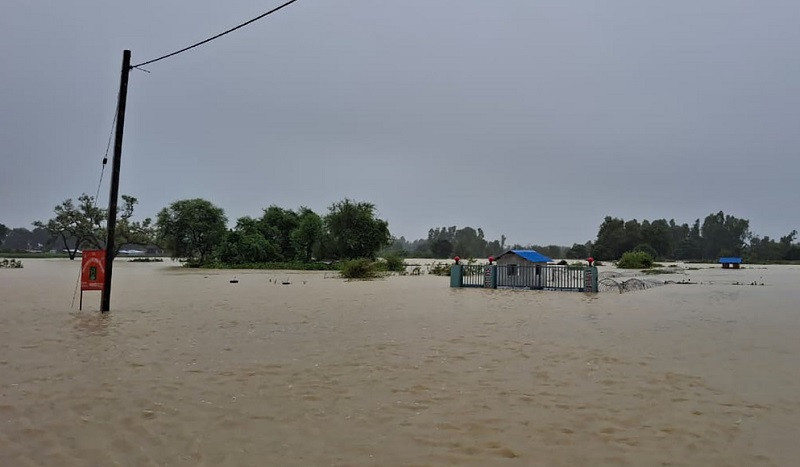 बाढीपहिरोमा ज्यान गुमाउनेको संख्या ५२ पुग्यो, ७ जना बेपत्ता