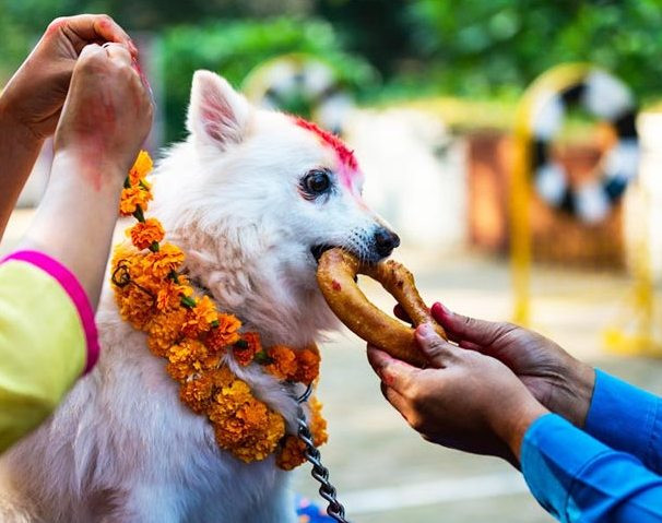 आज कुकुर तिहार तथा नरक चतुर्दशी