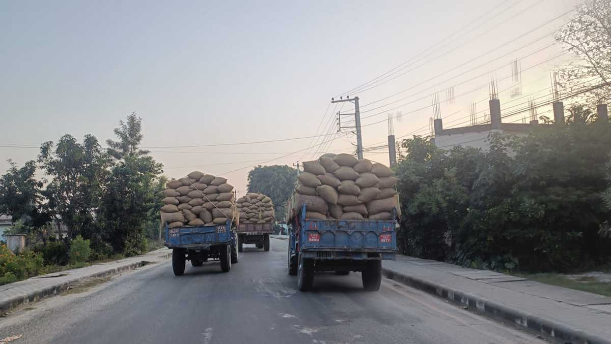 कैलालीमा कोटाभन्दा बढी धान खरिद