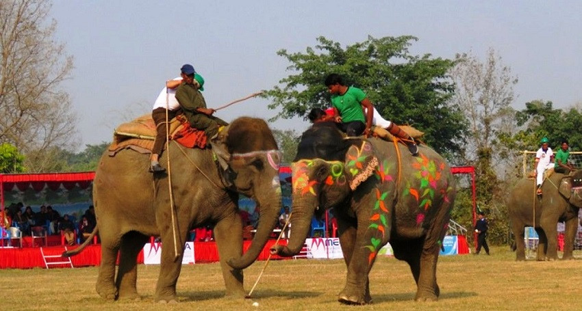 सौराहामा पर्यटन प्रवर्द्धन गर्न हात्ती महोत्सव