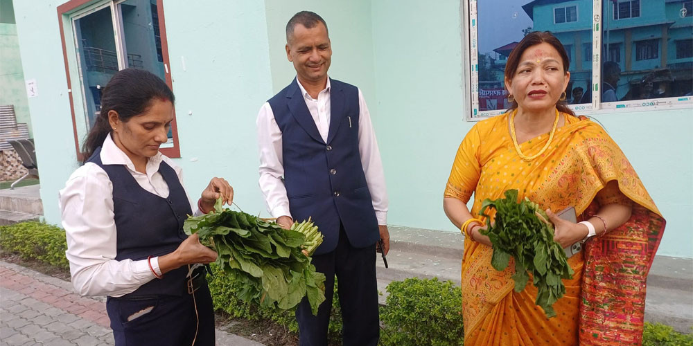 रायो सागमा ९९ प्रतिशतभन्दा बढी विषादी भेटियो