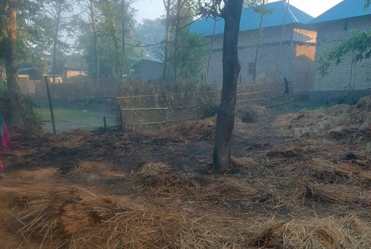 दाइँ गर्न राखिएको धानमा आगलागी