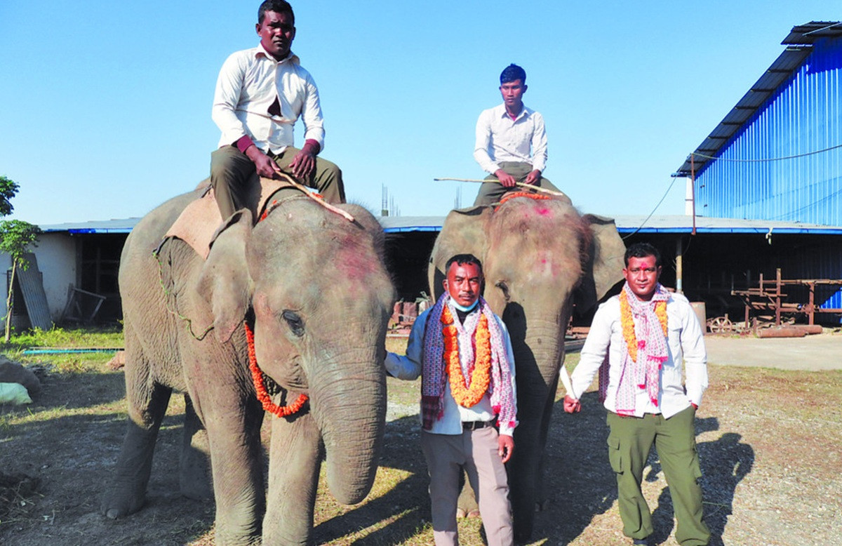 रुद्रकली र खगेन्द्रप्रसाद भैरहवा पुगे, भोलि कतार उड्दै